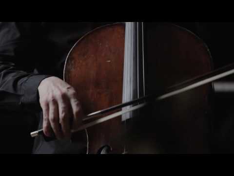 Sofia Philharmonic / François Salque and Samuel Strouk