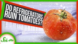 Why You Should Never Put Tomatoes in the Fridge!