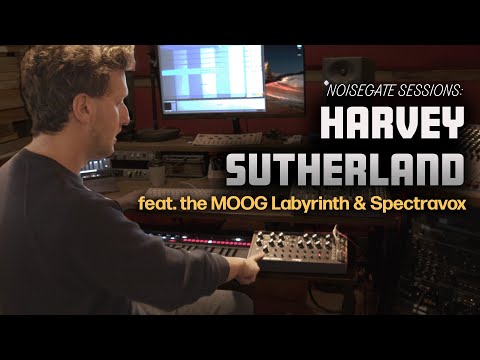 Noisegate Sessions // Creating a Track from Scratch with Harvey Sutherland & The Moog Labyrinth
