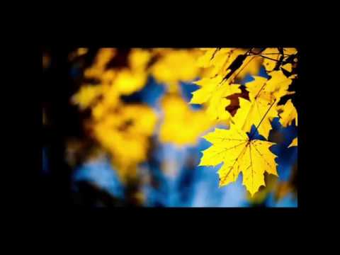 გია ყანჩელი - ყვითელი ფოთლები Gia Kancheli - Yellow leaves (2 საათი/2 hour)