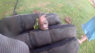 little at home metal detecting garrett at gold