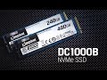 Kingston SEDC1000BM8/480G - видео