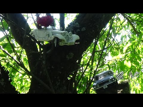 25. Rosengartenfest in Schlarpe   #Werbung