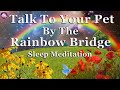 Meet Your Beloved Pet In Spirit At The Rainbow Bridge Guided Meditation 432 Hz Binaural Beats