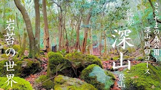 Miyama (Nose Town, Osaka Prefecture) Climbing (beginner course)