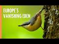 The Vanishing Eden In Your Backyard Full Episode
