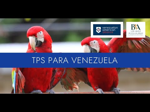 , title : 'Cómo Aplicar al TPS para Venezolanos. Preguntas y Respuestas con la Abogada Adriana Bello'