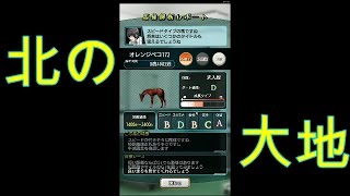 ダビマス 安くて早い 父父オグリキャップ ラフィアンから始める３連続完璧uma配合 ダービースタリオンマスターズ موقع ويب حيث يمكنك مشاهدة مقاطع فيديو موسيقية مجانية