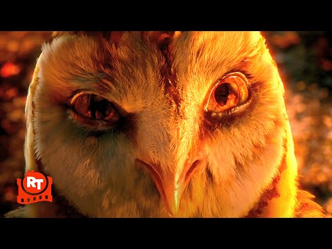 Legend of the Guardians - The Evil Brother!