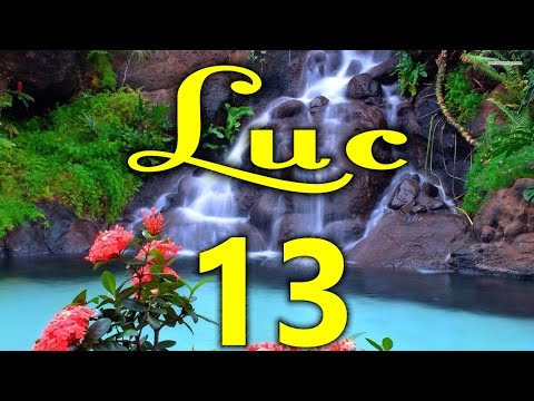 Gospel according to Luke - Chapter 13 (Revised Louis Segond Version - Colombe - 1978)