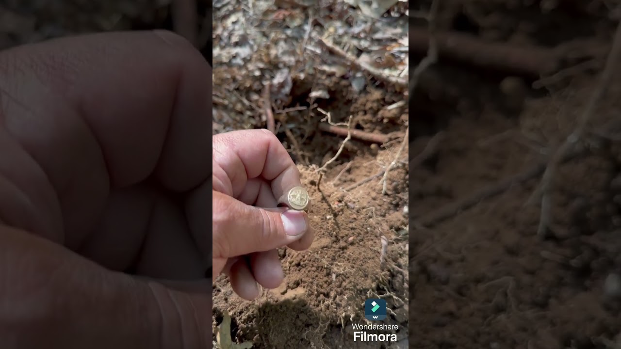 Gold and military button relics #metaldetecting #minicab #metal-detector #xpdeusmetaldetector