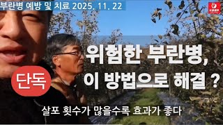 [사과재배]????부란병 , 이 두 가지를 병행해서 방제하라 [서상현 박사]