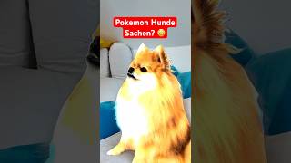 Pokémon hat DAS meinem Hund geschickt! 😂