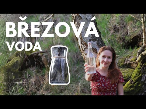 BŘEZOVÁ VODA | Jak ji získat