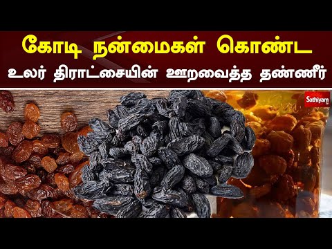 கோடி நன்மைகள் கொண்ட உலர் திராட்சையின் ஊறவைத்த தண்ணீர் | Dry Grapes | Web Special | Sathiyam Tv