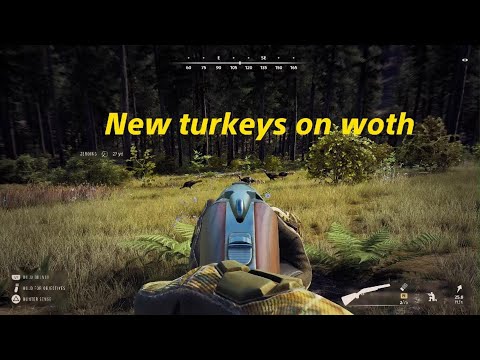 Killing the new turkeys on Way of the Hunter