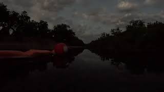 Paddle Board Trash Pickup, Town Lake, Austin TX, October 7, 2025 - GoPro MAX2