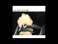 Wo Stree Hain Kuch Bhi Kar Sakti Hai L Funny Memes