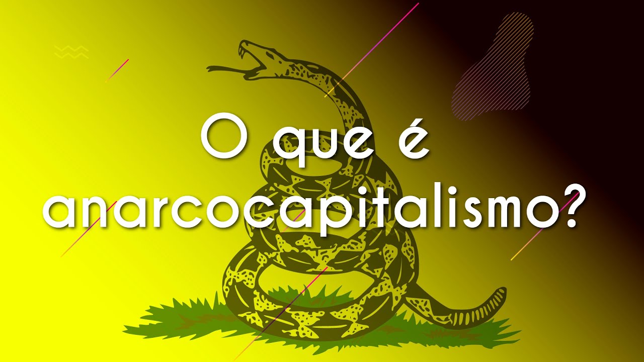 anarcocqpitalismo #napoleão #liberalis #socialismo #politica #imperio
