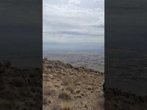 #nature #animals #wildlife #mount_takatu #Muzammil_bazai