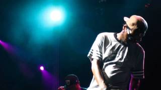 Deltron 3030- The Return @ Prospect Park (Brooklyn), NYC