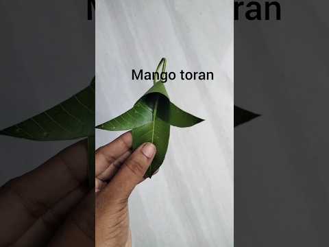 #mangoleafthoranforfestivals #mangoleafcrafts #mangoleafdecoration#greendayproject#mamidiakula decor