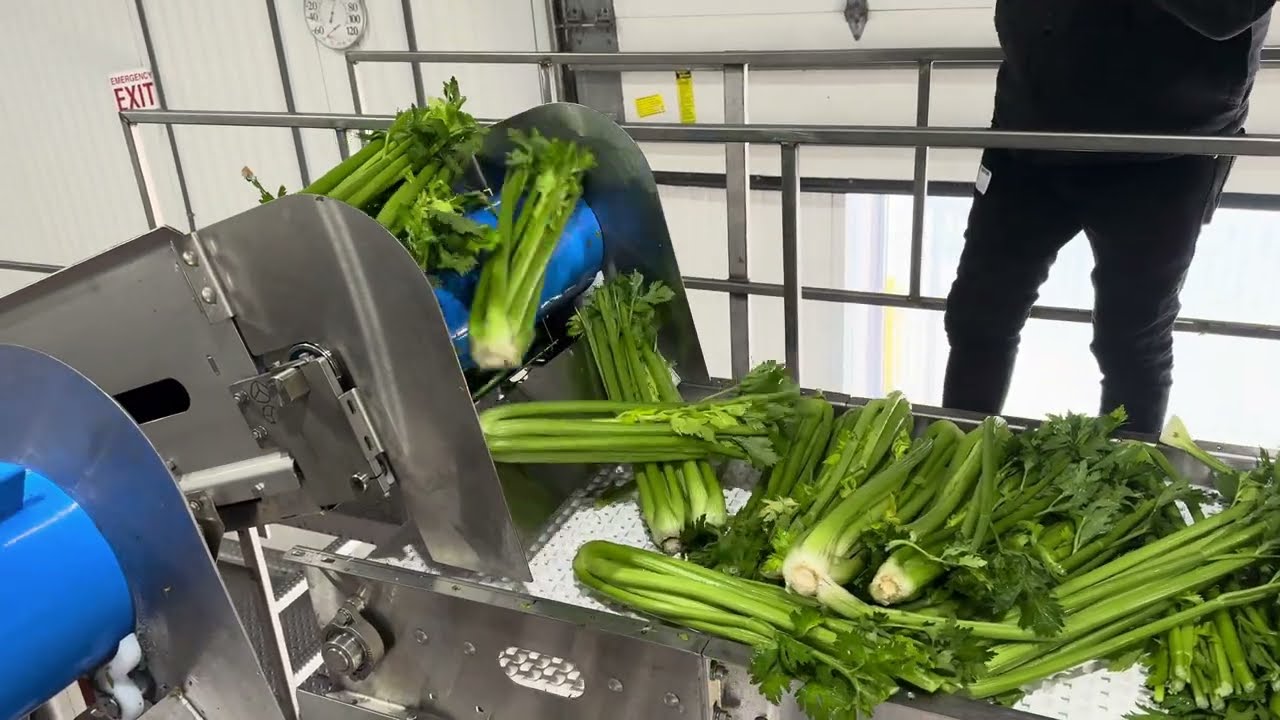 Efficiency Unleashed PTI's Cutting-Edge Automated De-Palletizer & Rotary Tote Dump System for Celery
