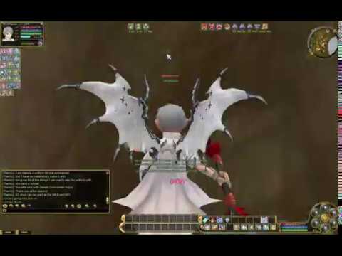 INSANITY FLYFF Leveling Guide (Arcanist) Part 2