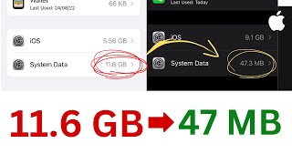 iPhone System Data Taking Too Much Space? | How to Clear System Data Storage?