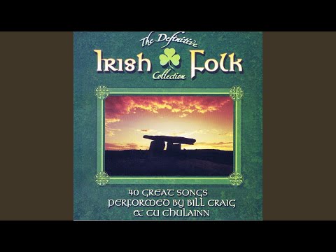 Saint Patrick Was a Gentleman