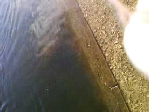 oh no the river freshney is gonna over flow !!