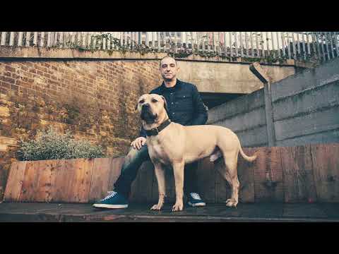 DJ Hype - Rinse FM - 14/03/2025