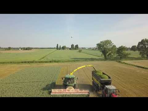 Un carico perfetto - Concamarise 2022