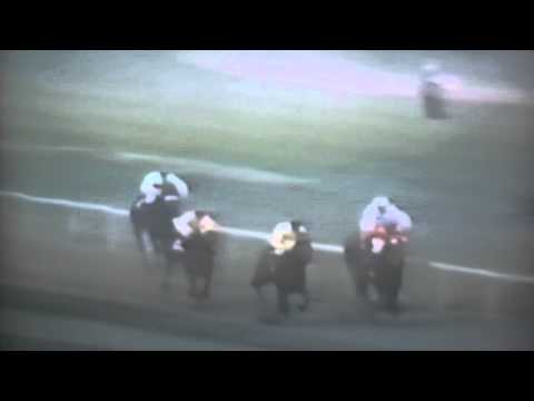 Nagroda Criterium - 29.10.1989 - Zend (Dakota - Zolika)