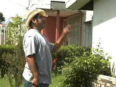 AGAPITO CORTANDO LA LUZ NNN