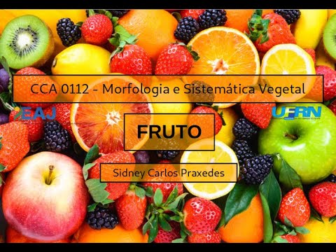 06 - Fruto - 2