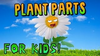 Plant Parts for Kids!