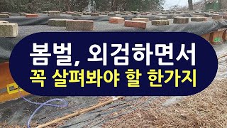 지금시기 봄벌, 외부점검 하면서 꼭 살펴봐야 할 한가지. 봄벌 설사. 노제마병