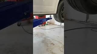 Shaking Car Lifter Up &amp; Down Condition