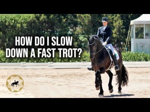 HOW DO I SLOW DOWN A FAST TROT? - Dressage Mastery TV Episode 276