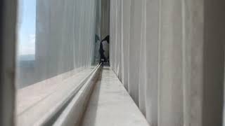 Quase quasar - canção de Rafael Macedo - junho de 2021