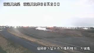 動画のサムネイル