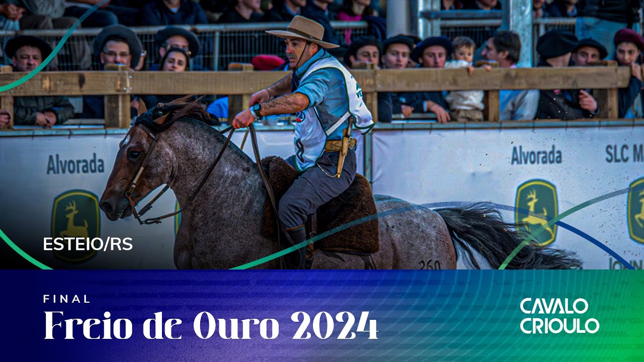 FINAL FREIO DE OURO 2024 - AND/ FIG/ VSP E ESB - FÊMEAS - QUARTA-FEIRA – 28/08/2024