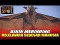 BIKIN MERINDING KELELAWAR SEBESAR MANUSIA KELELAWAR MONSTER ON THE SPOT TERBARU