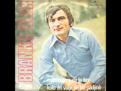 -Muzica rumaneasca din Timocul sarbesc  -Anul: 1976 Branko Olar