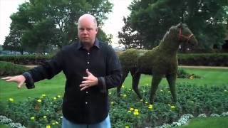 NMPRO #80 - Pick a Horse!