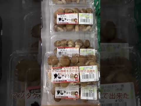 フランスにおける有毒キノコとは何ですか?またその見分け方は?選ぶときはこの7種に注目！  庭園