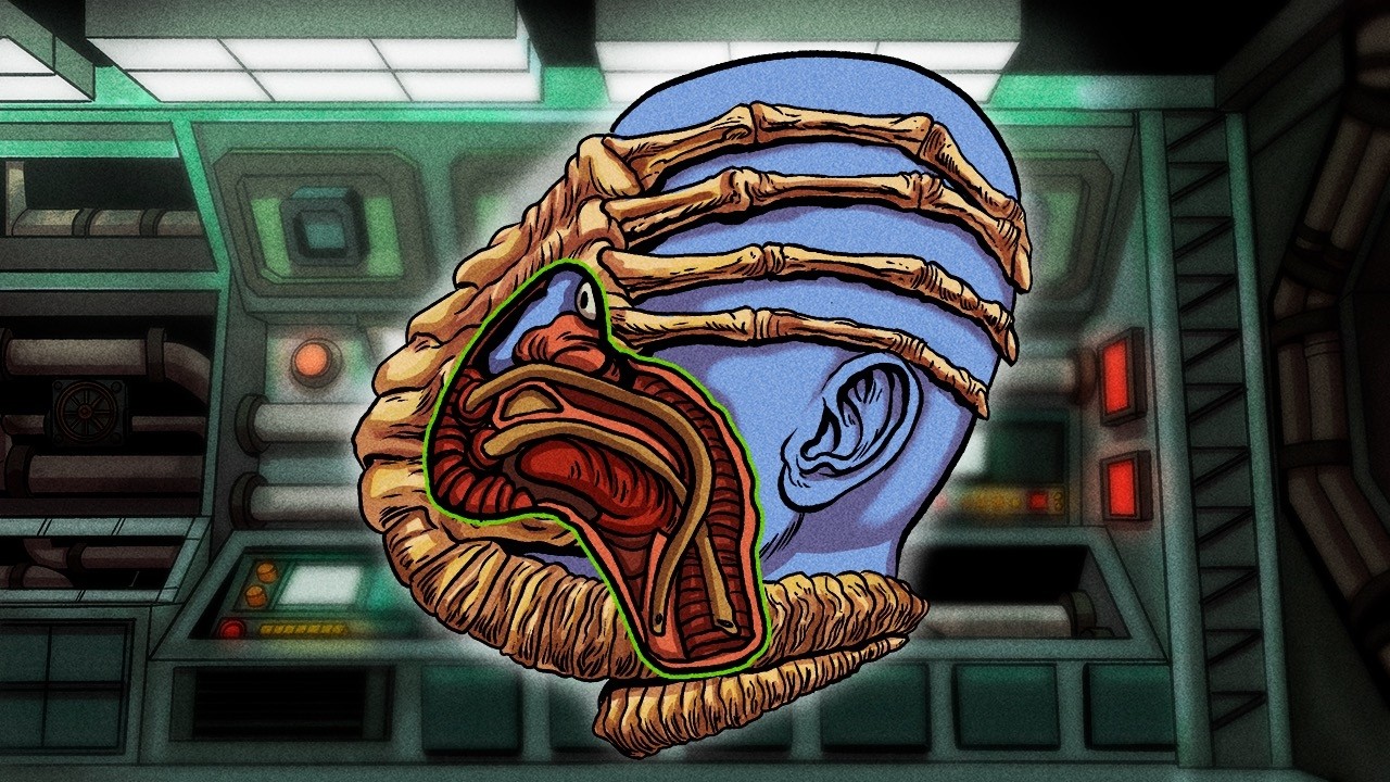 The Disturbing Life Cycle of the Xenomorph Explained