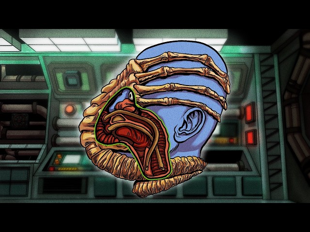 The Disturbing Life Cycle of the Xenomorph Explained
