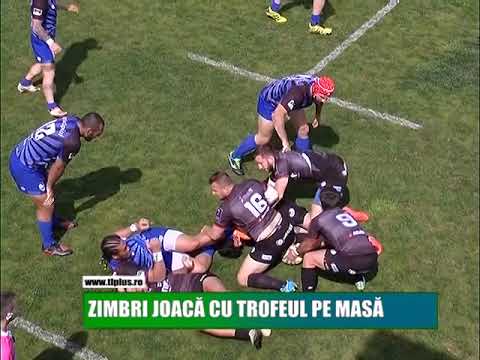 Zimbrii joacă cu trofeul pe masă